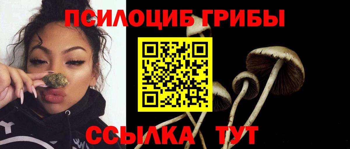 Псилоцибиновые грибы Psilocybe Астрахань